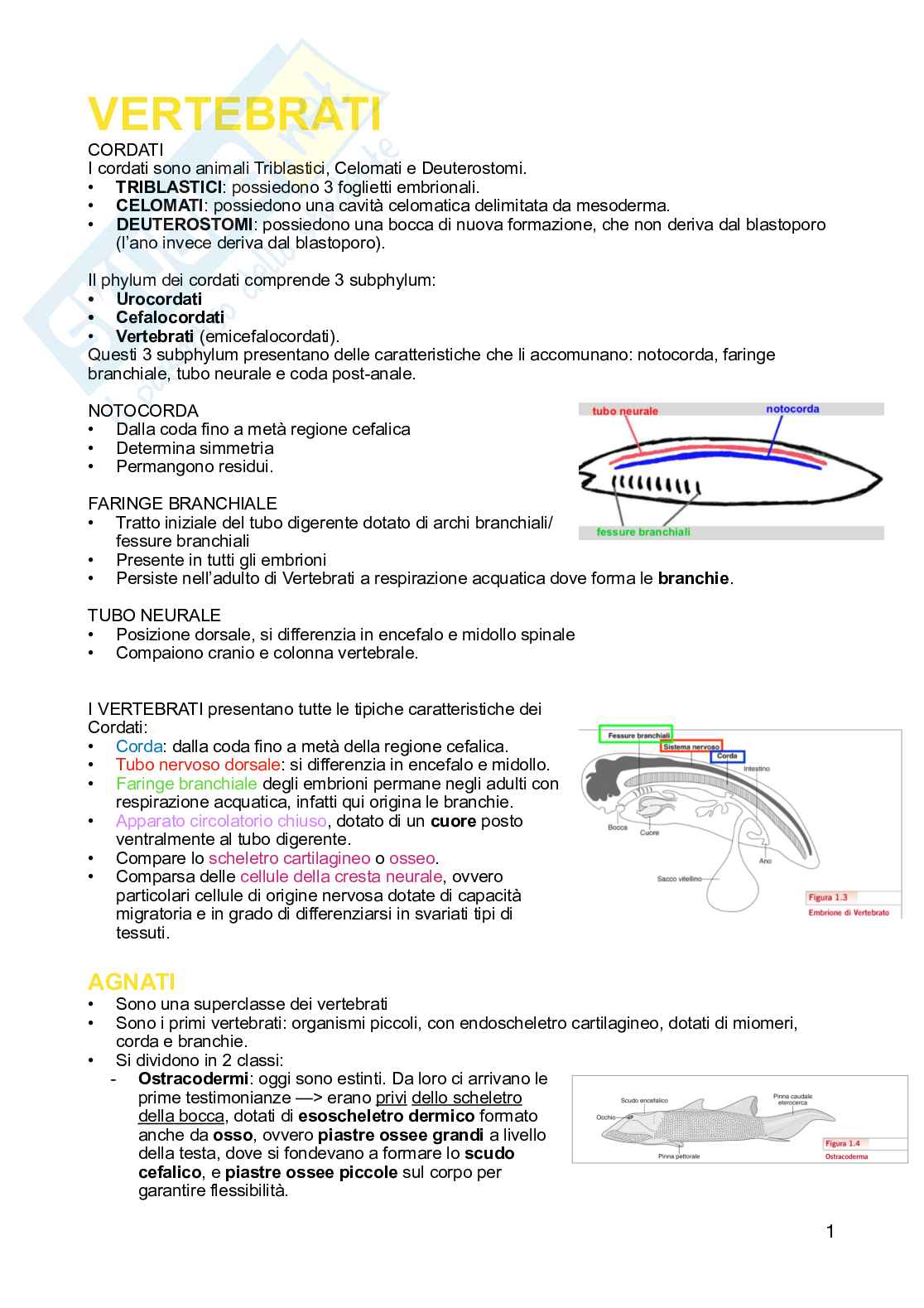 Anatomia comparata Pag. 1