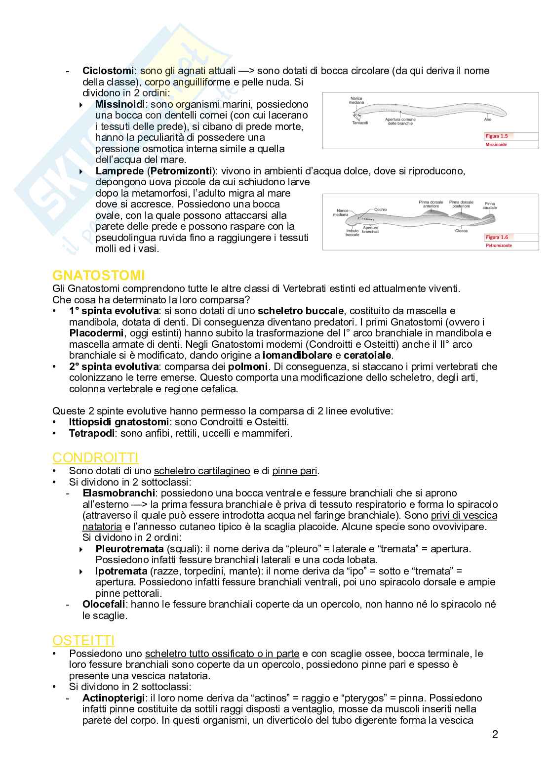 Anatomia comparata Pag. 2