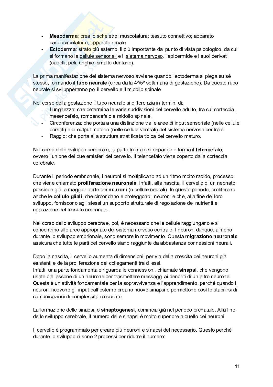 Riassunto esame Psicologia dello sviluppo, Prof. Fiorilli Caterina, libro consigliato Psicologia dello sviluppo, Leman, Bremner, Gauvain Pag. 11