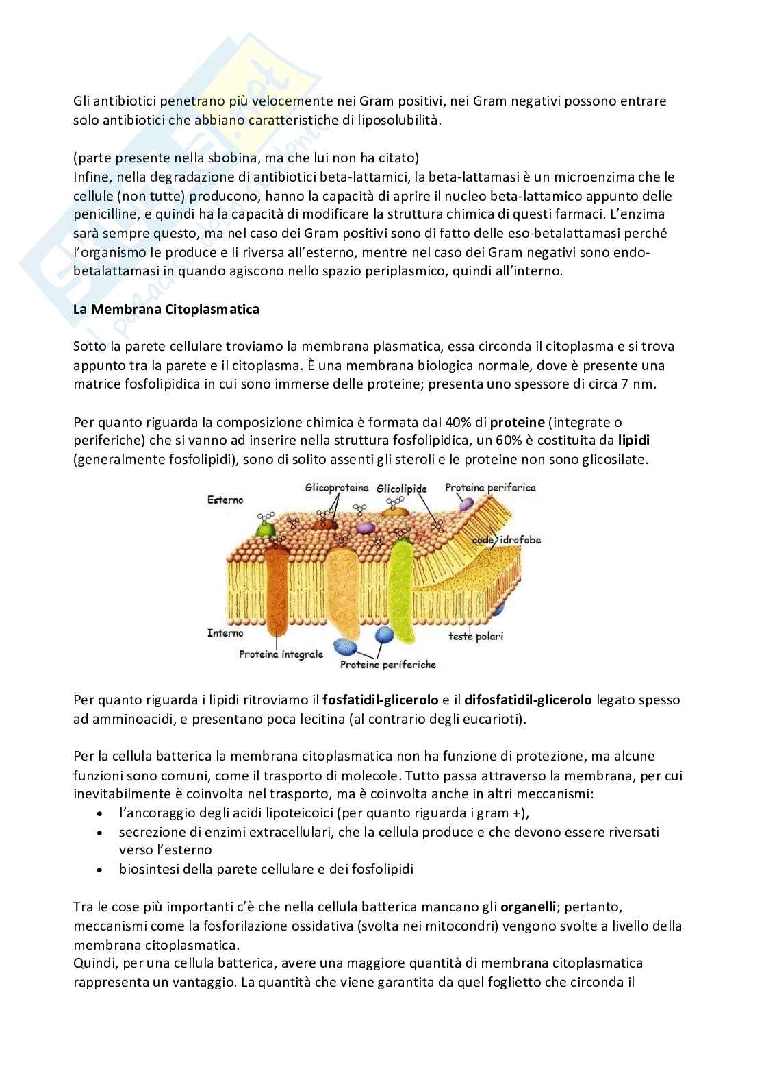 Microbiologia e microbiologia clinica - parte 1 Pag. 21