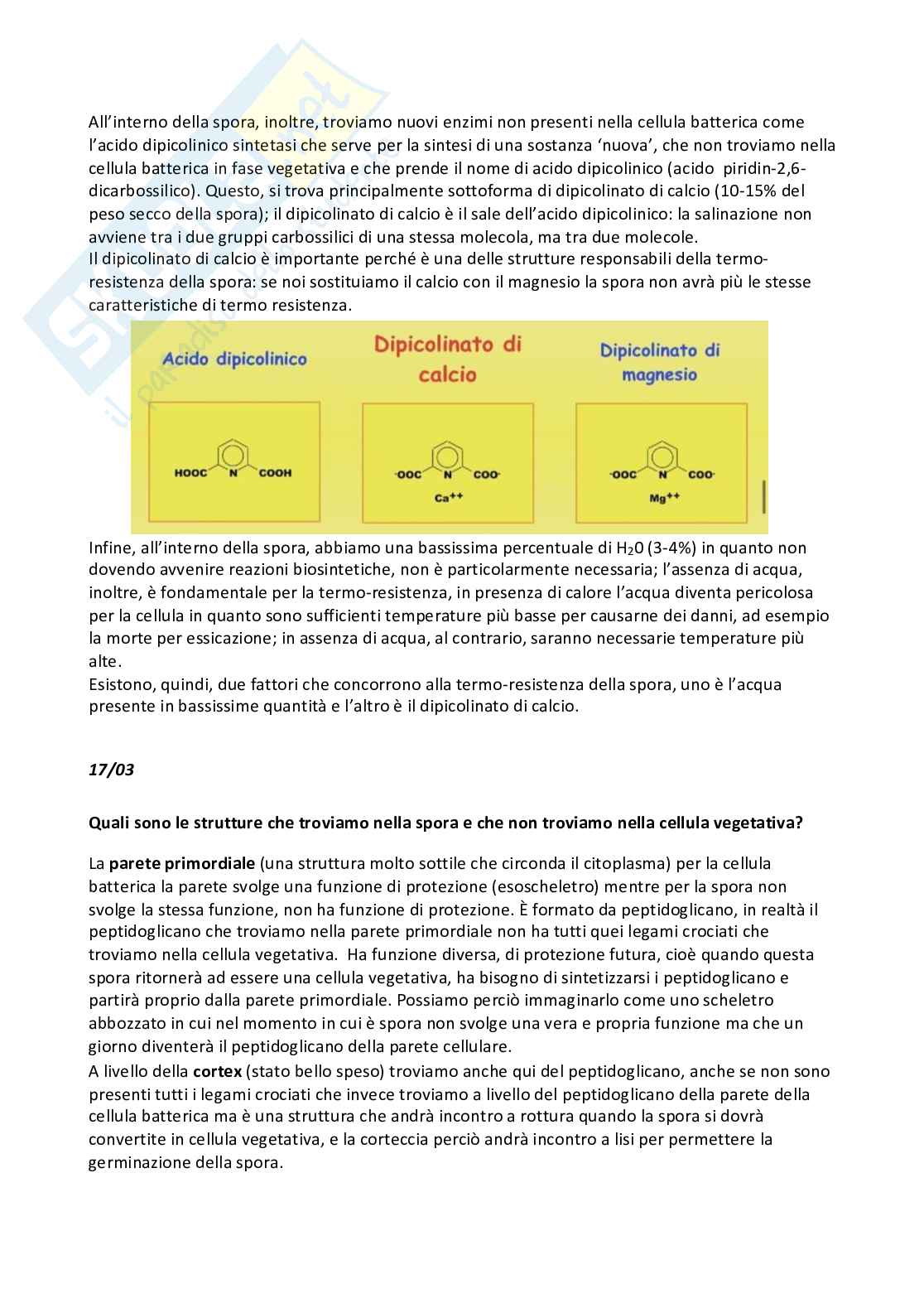 Microbiologia e microbiologia clinica - parte 1 Pag. 31