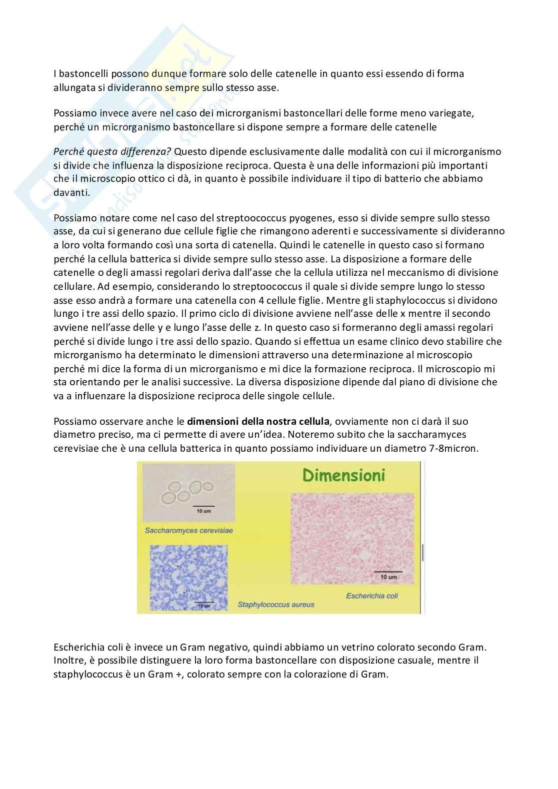 Microbiologia e microbiologia clinica - parte 1 Pag. 46