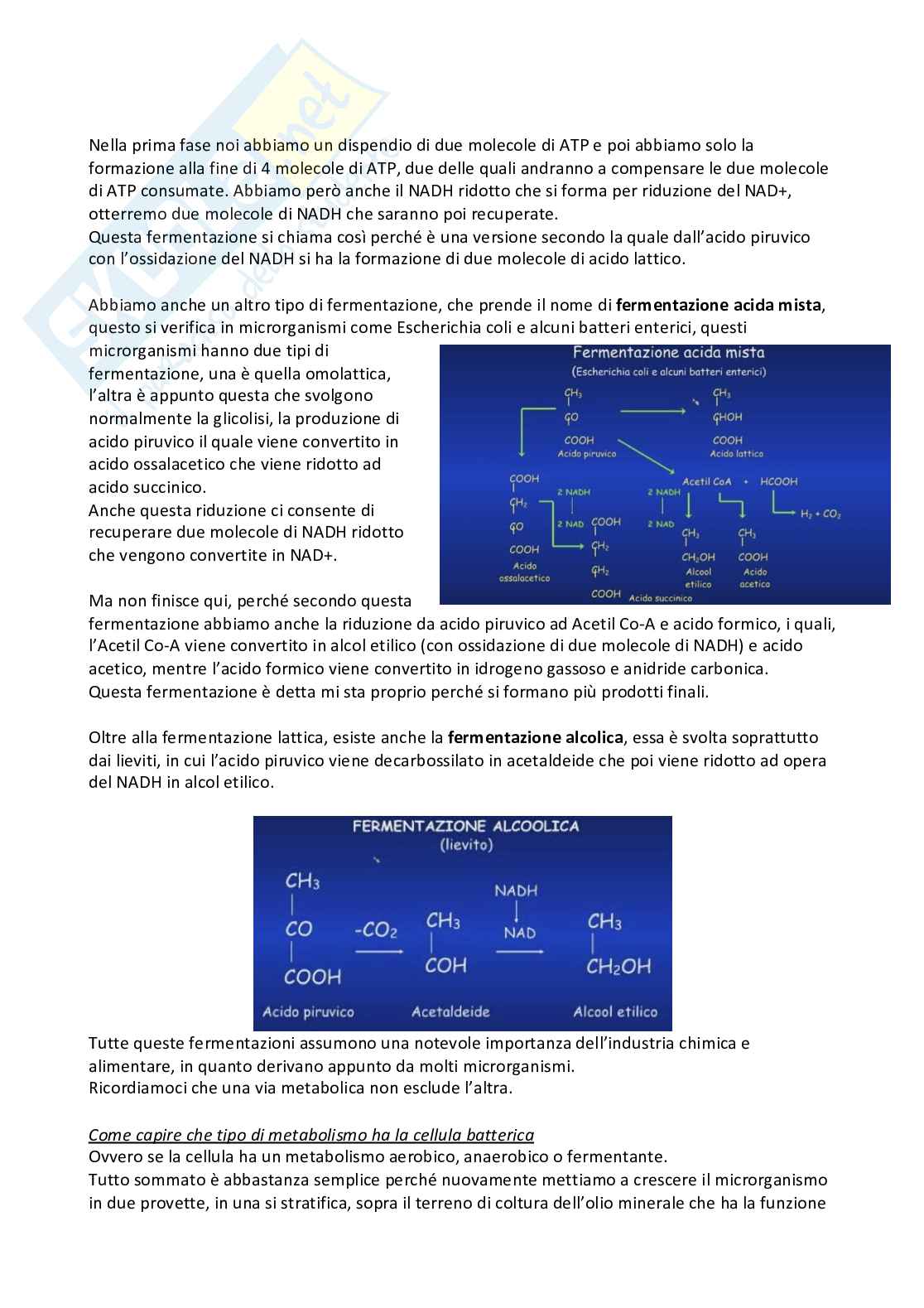 Microbiologia e microbiologia clinica - parte 1 Pag. 51