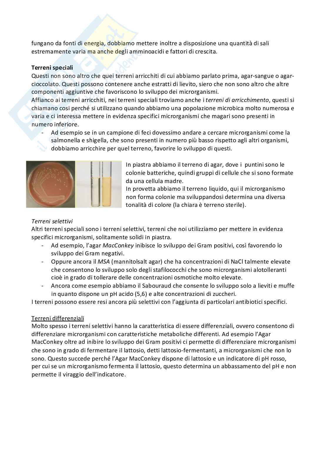 Microbiologia e microbiologia clinica - parte 1 Pag. 56