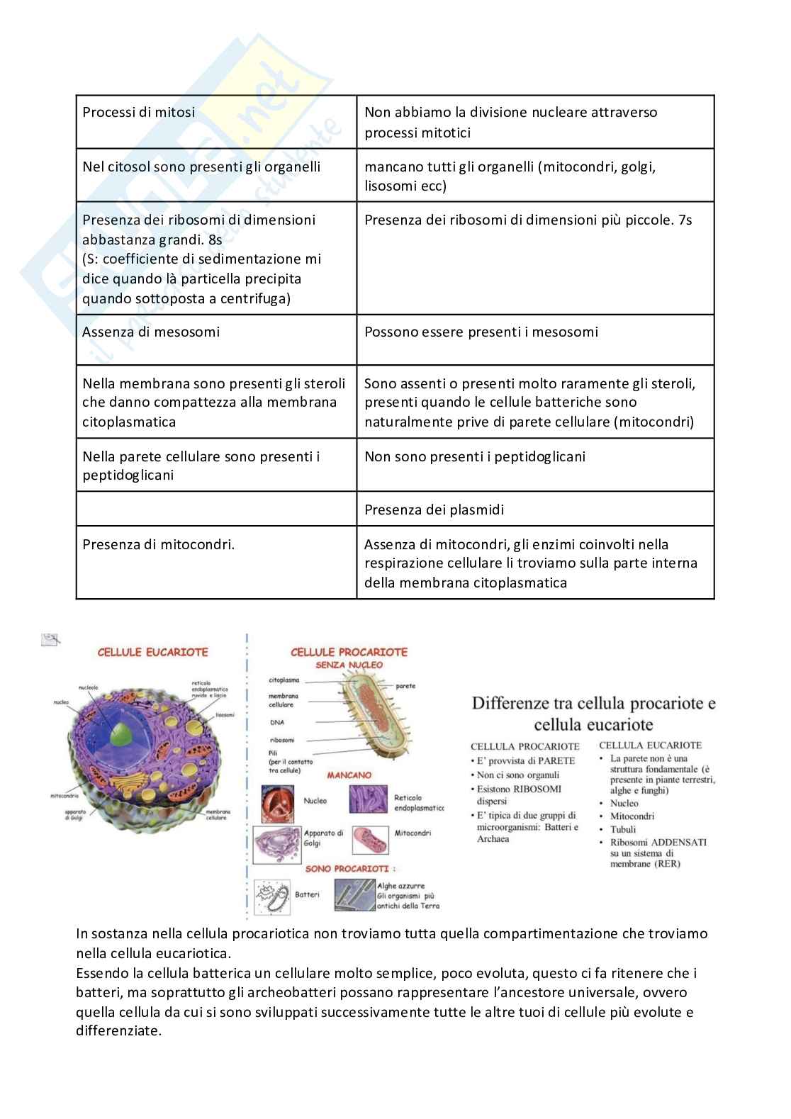 Microbiologia e microbiologia clinica - parte 1 Pag. 6