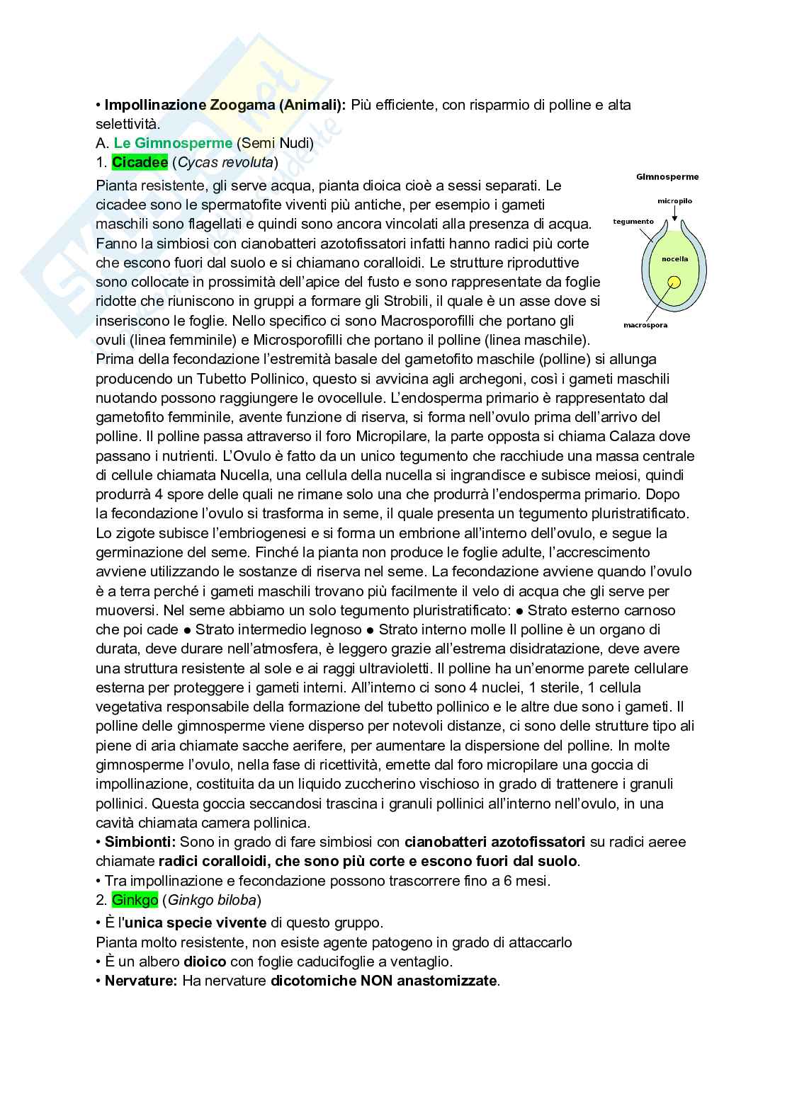 Appunti completi di Botanica generale Pag. 11
