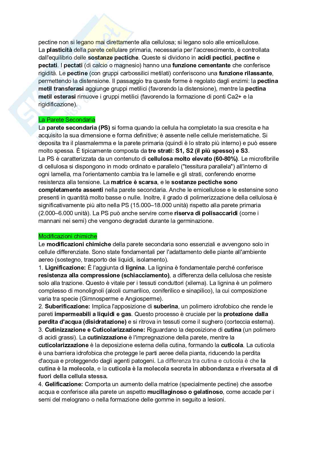 Appunti completi di Botanica generale Pag. 21