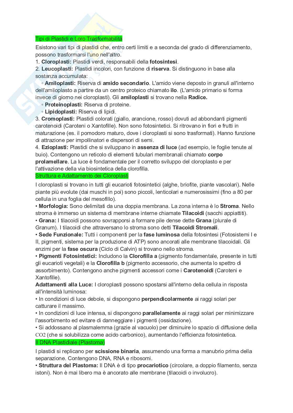 Appunti completi di Botanica generale Pag. 26
