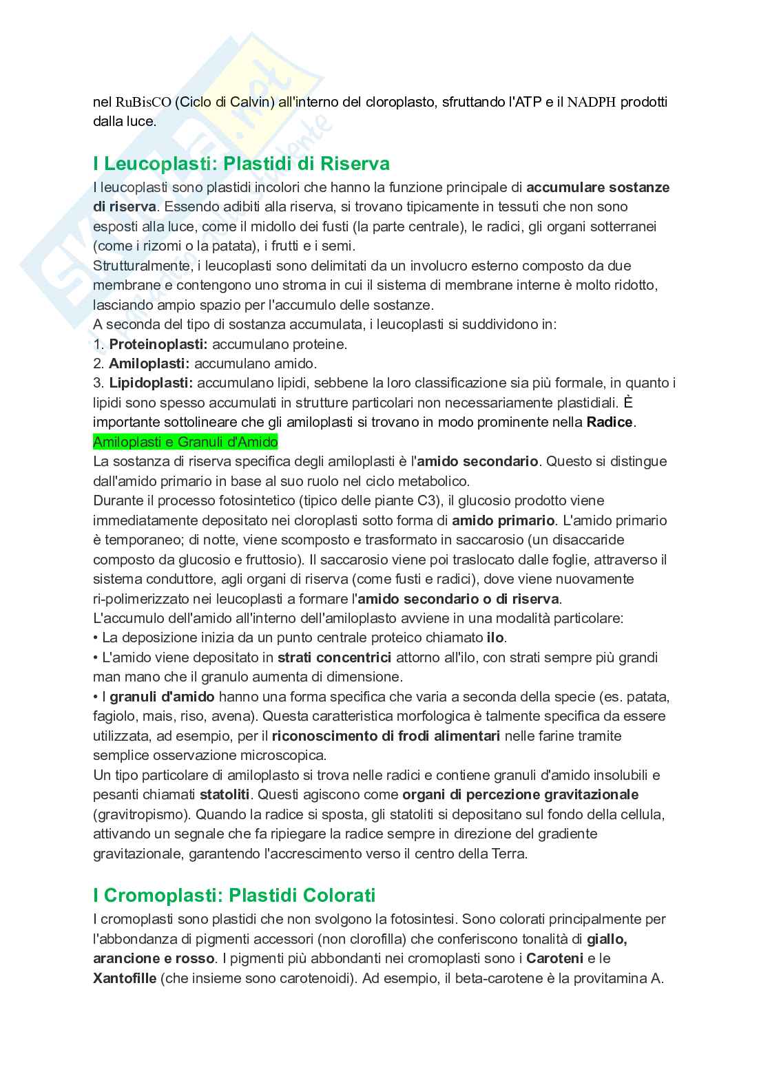 Appunti completi di Botanica generale Pag. 31