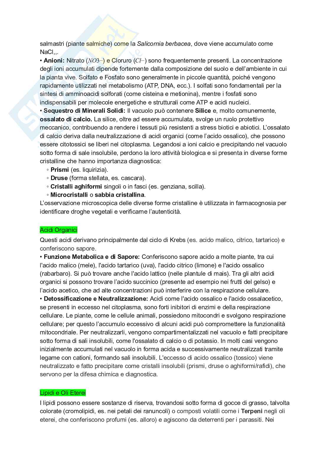Appunti completi di Botanica generale Pag. 36
