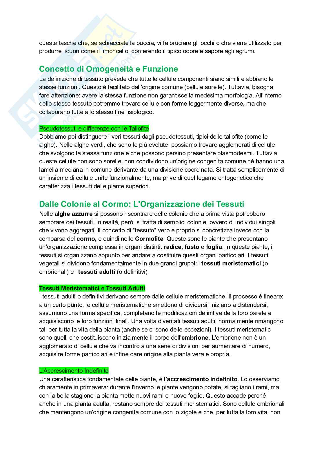 Appunti completi di Botanica generale Pag. 41