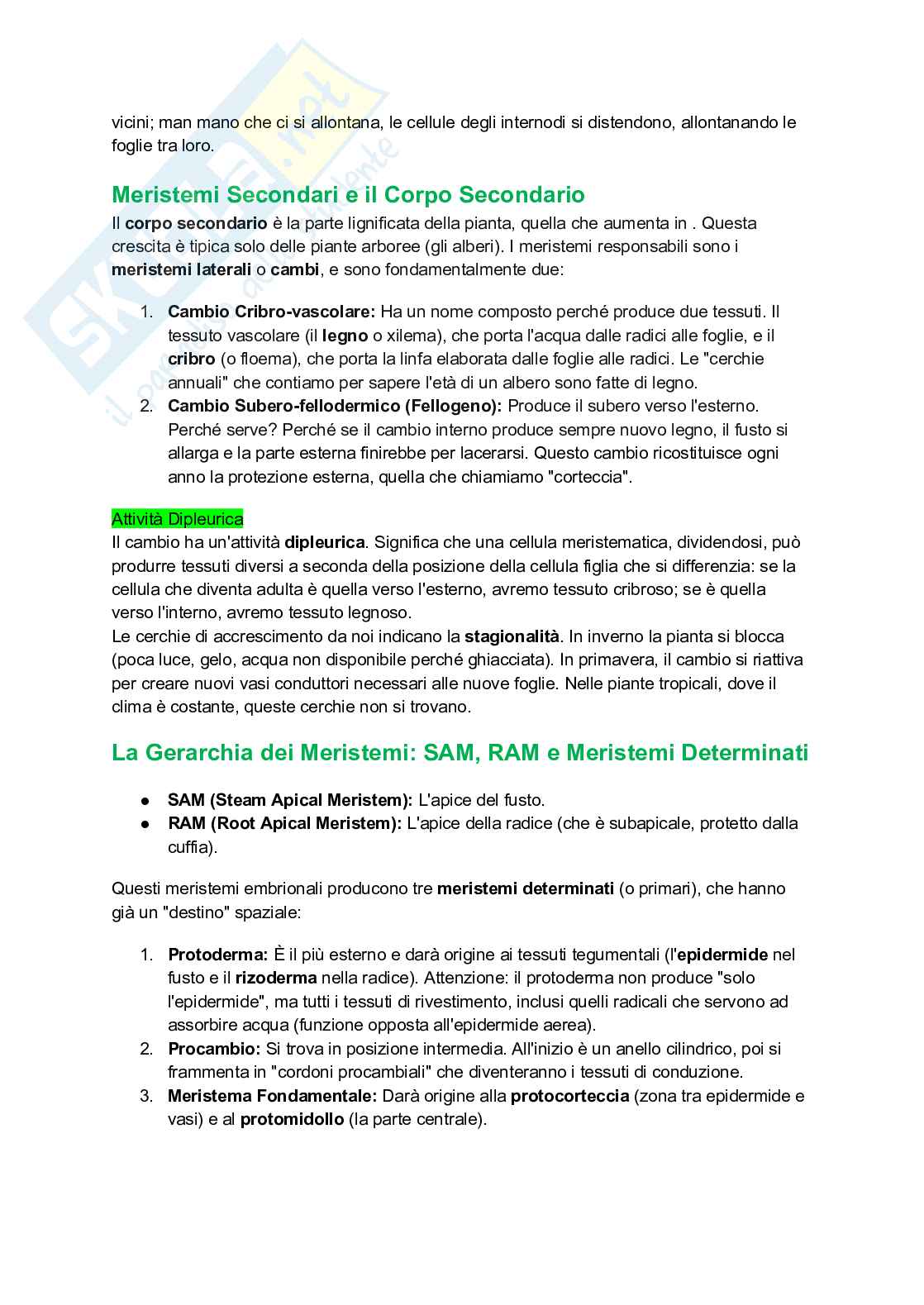 Appunti completi di Botanica generale Pag. 46