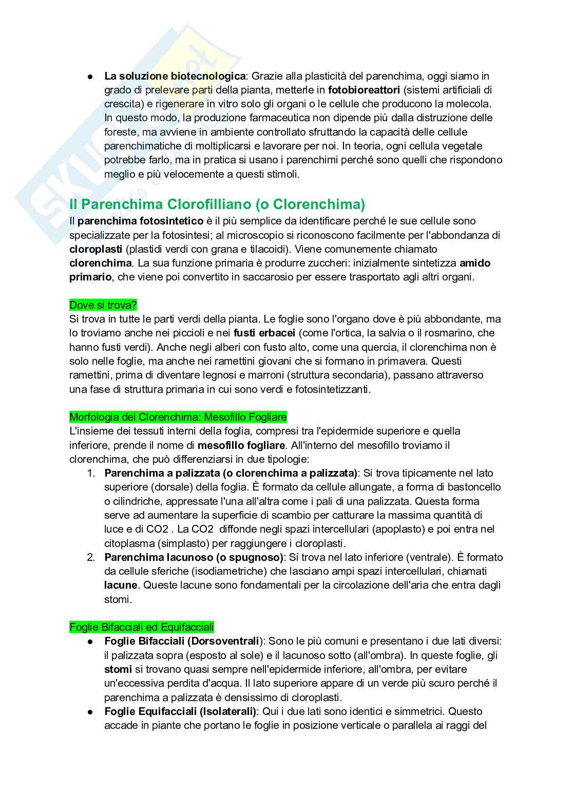 Appunti completi di Botanica generale Pag. 51