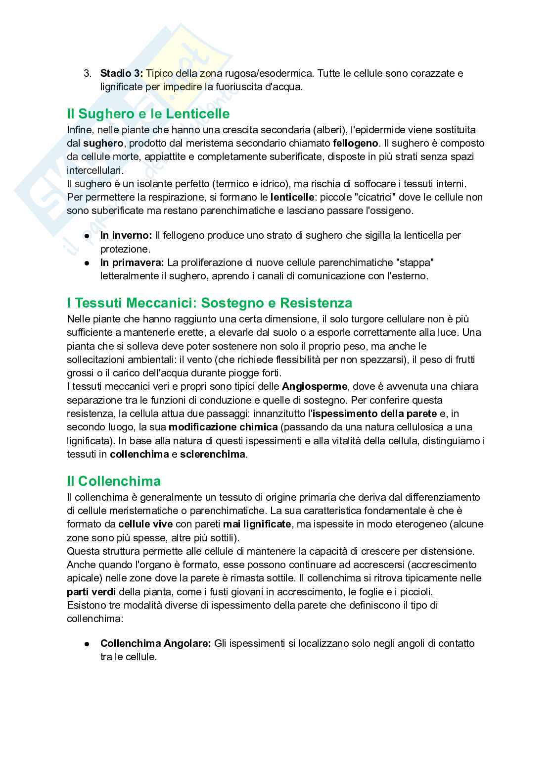 Appunti completi di Botanica generale Pag. 61
