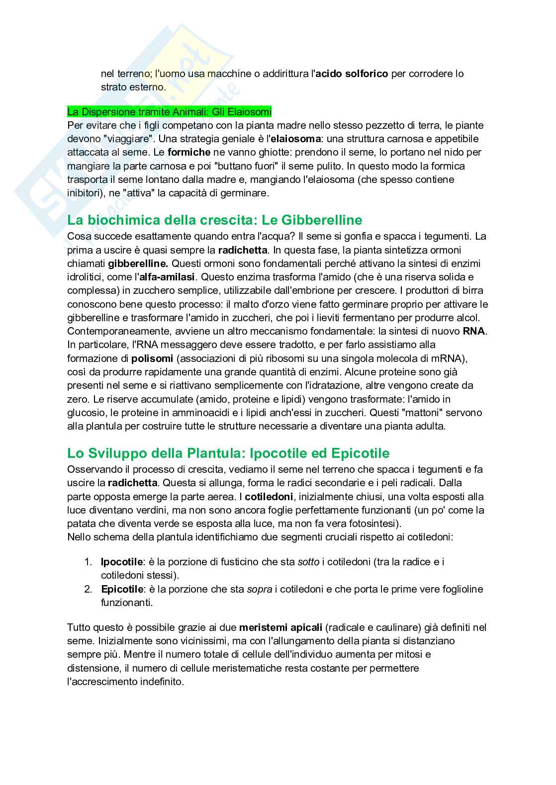 Appunti completi di Botanica generale Pag. 81