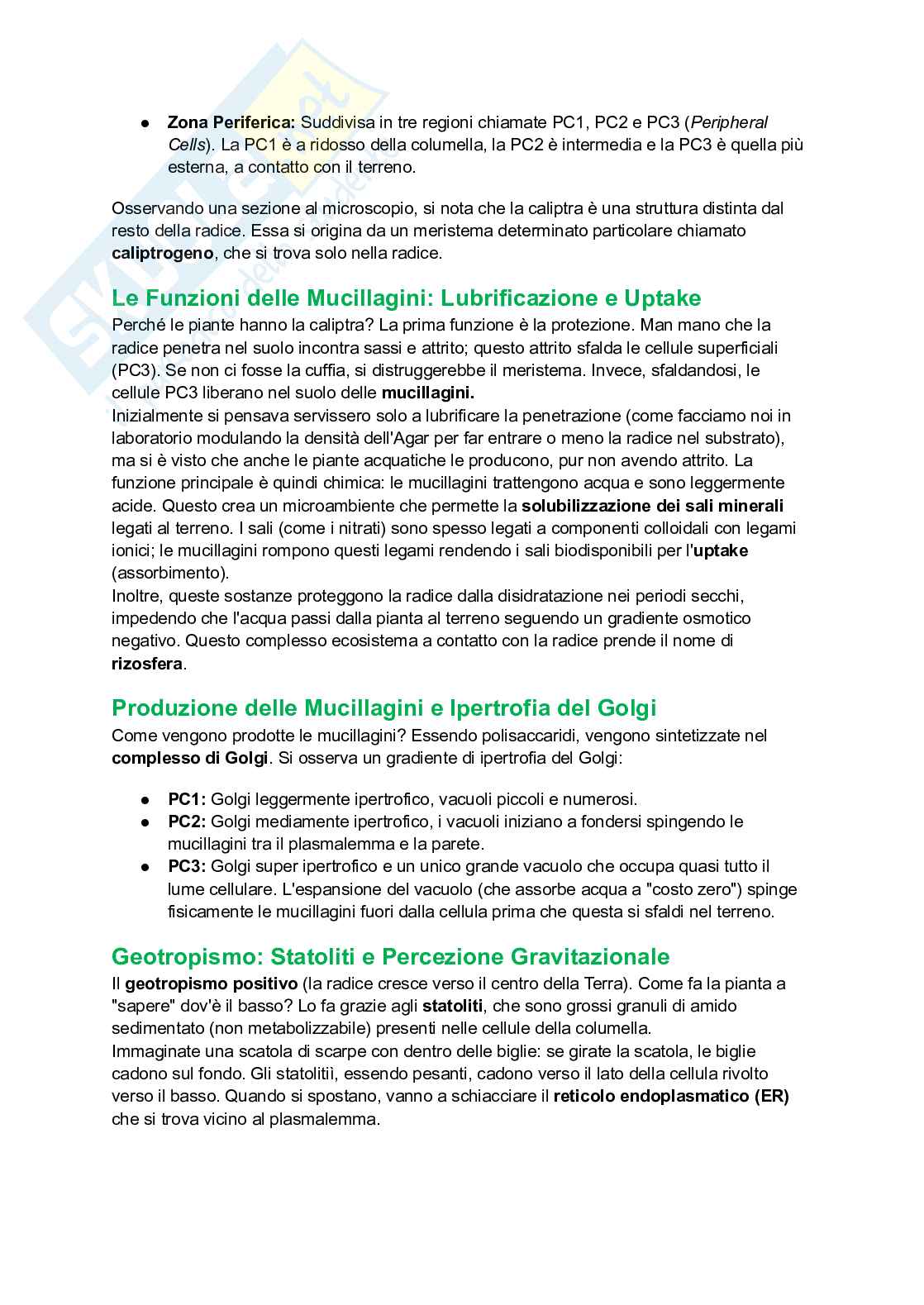 Appunti completi di Botanica generale Pag. 86