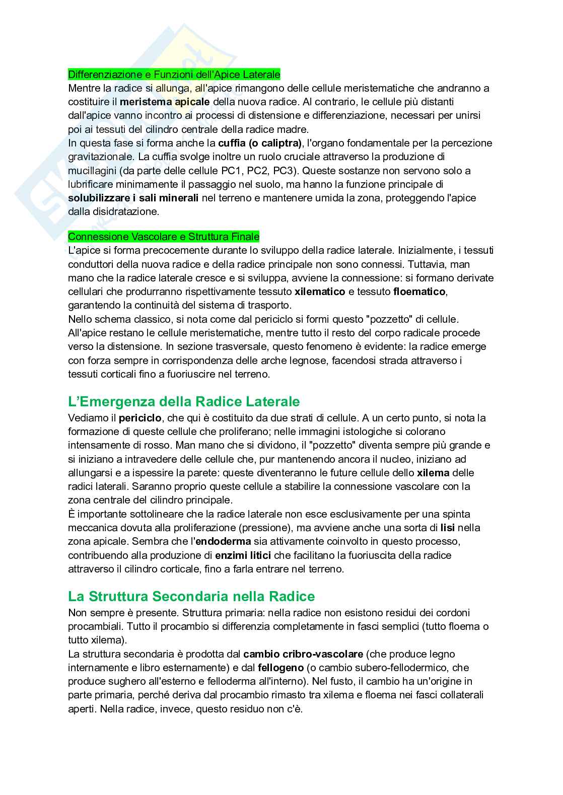 Appunti completi di Botanica generale Pag. 91
