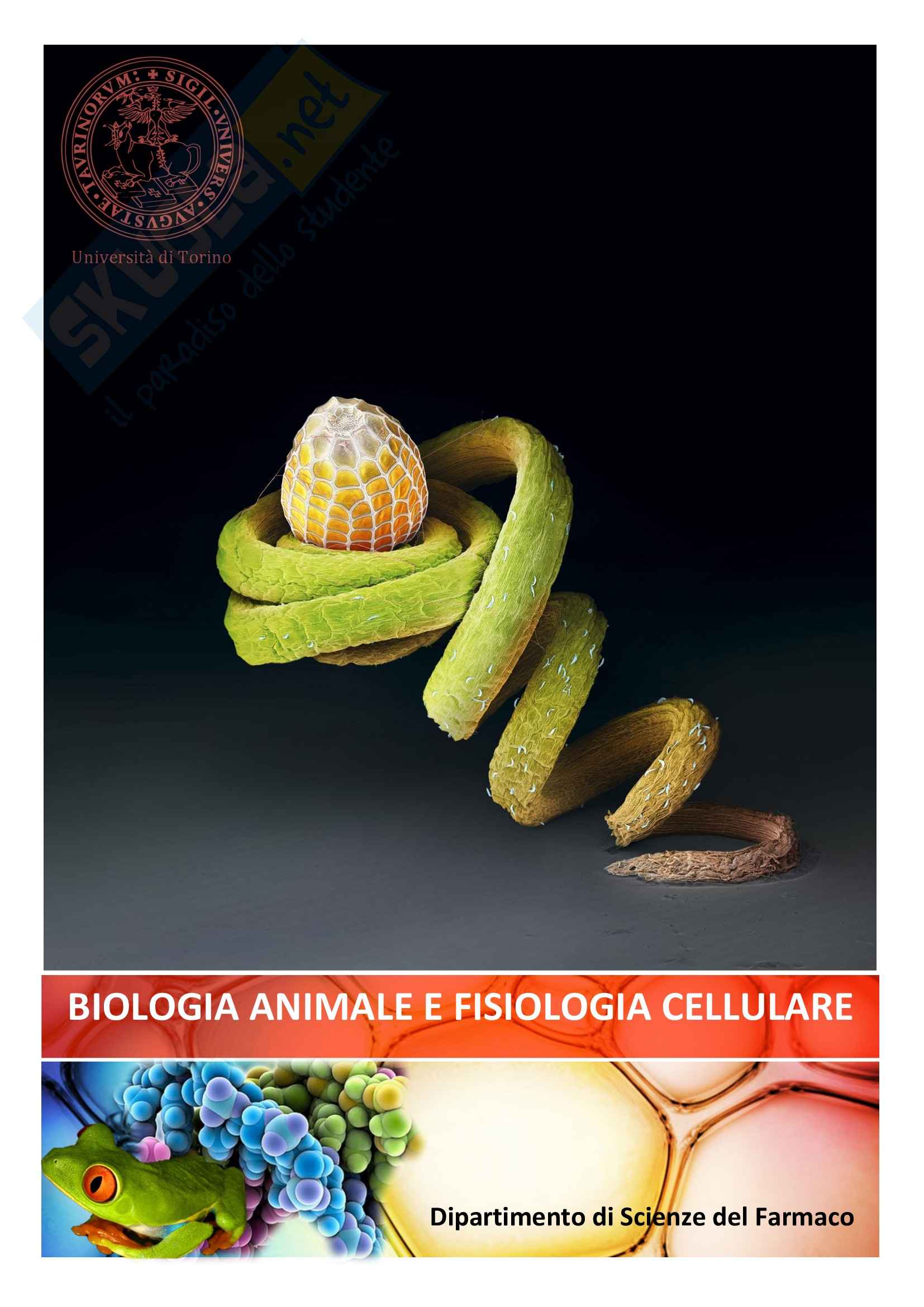 Biologia Animale e Fisiologia - Appunti Pag. 1