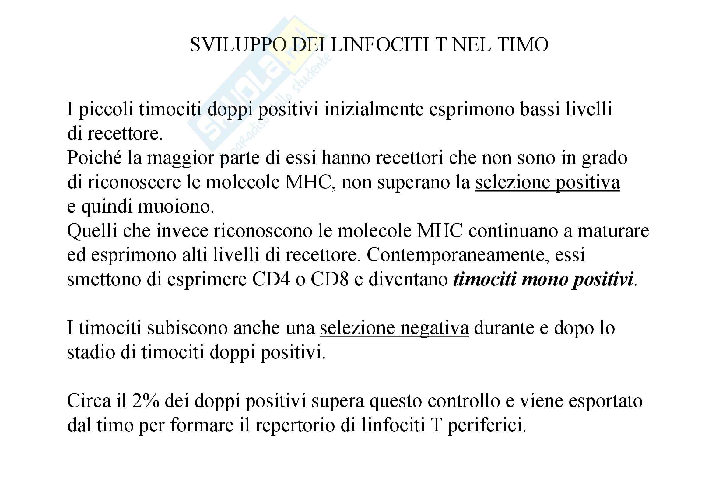 Immunologia - sviluppo intratimico dei linfociti T Pag. 11
