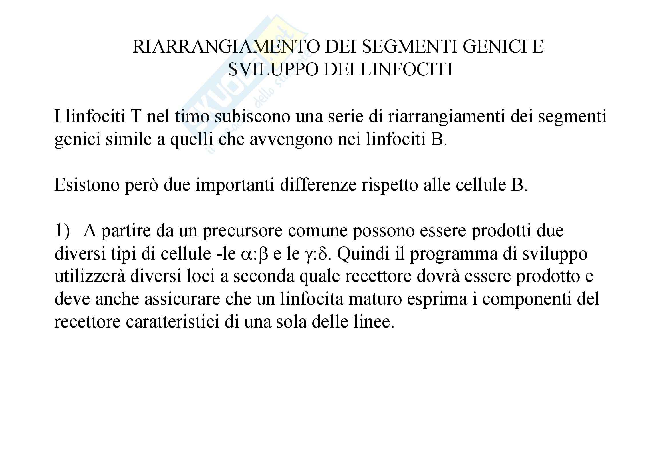 Immunologia - sviluppo intratimico dei linfociti T Pag. 16