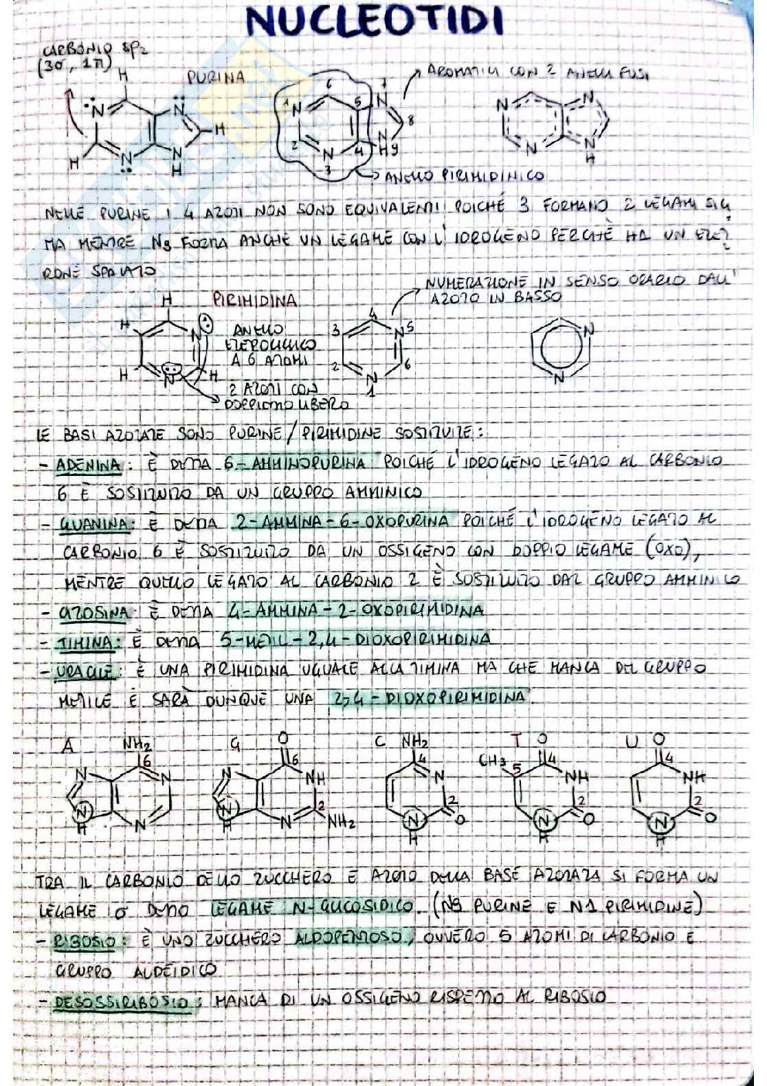 Biochimica I - prima parte Pag. 1