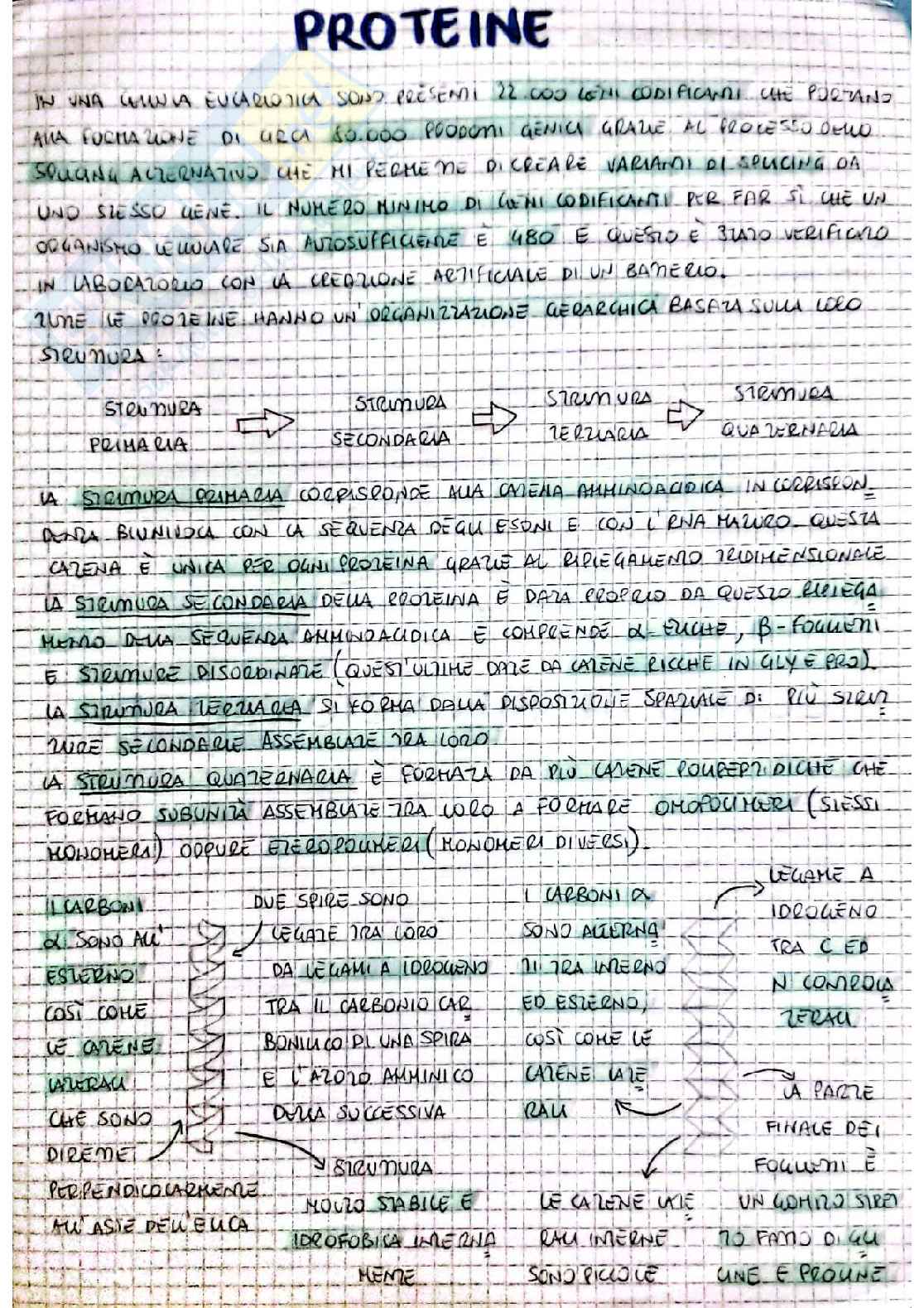 Biochimica I - prima parte Pag. 11