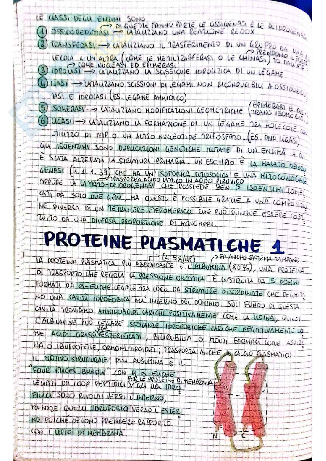 Biochimica I - prima parte Pag. 16