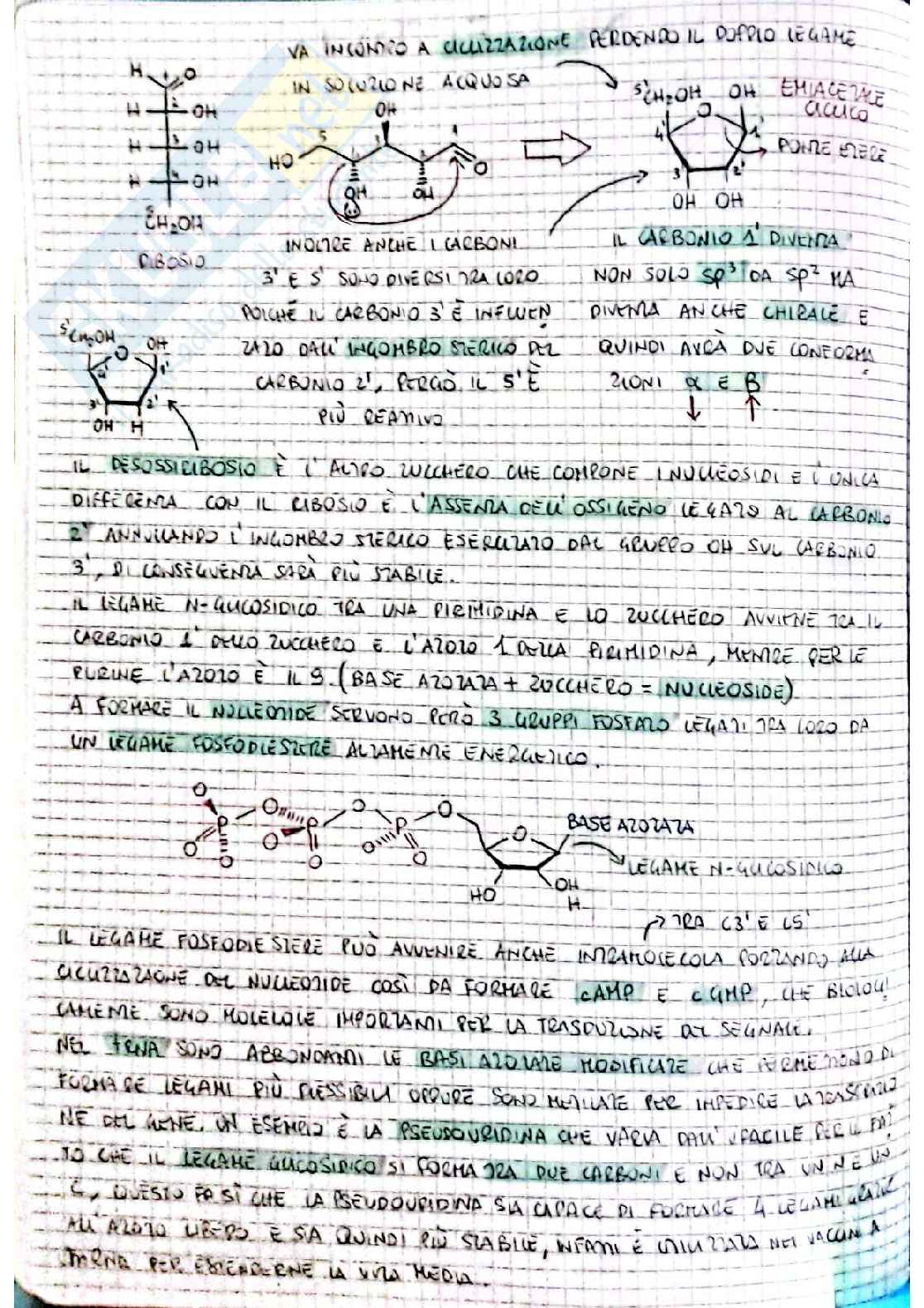 Biochimica I - prima parte Pag. 2