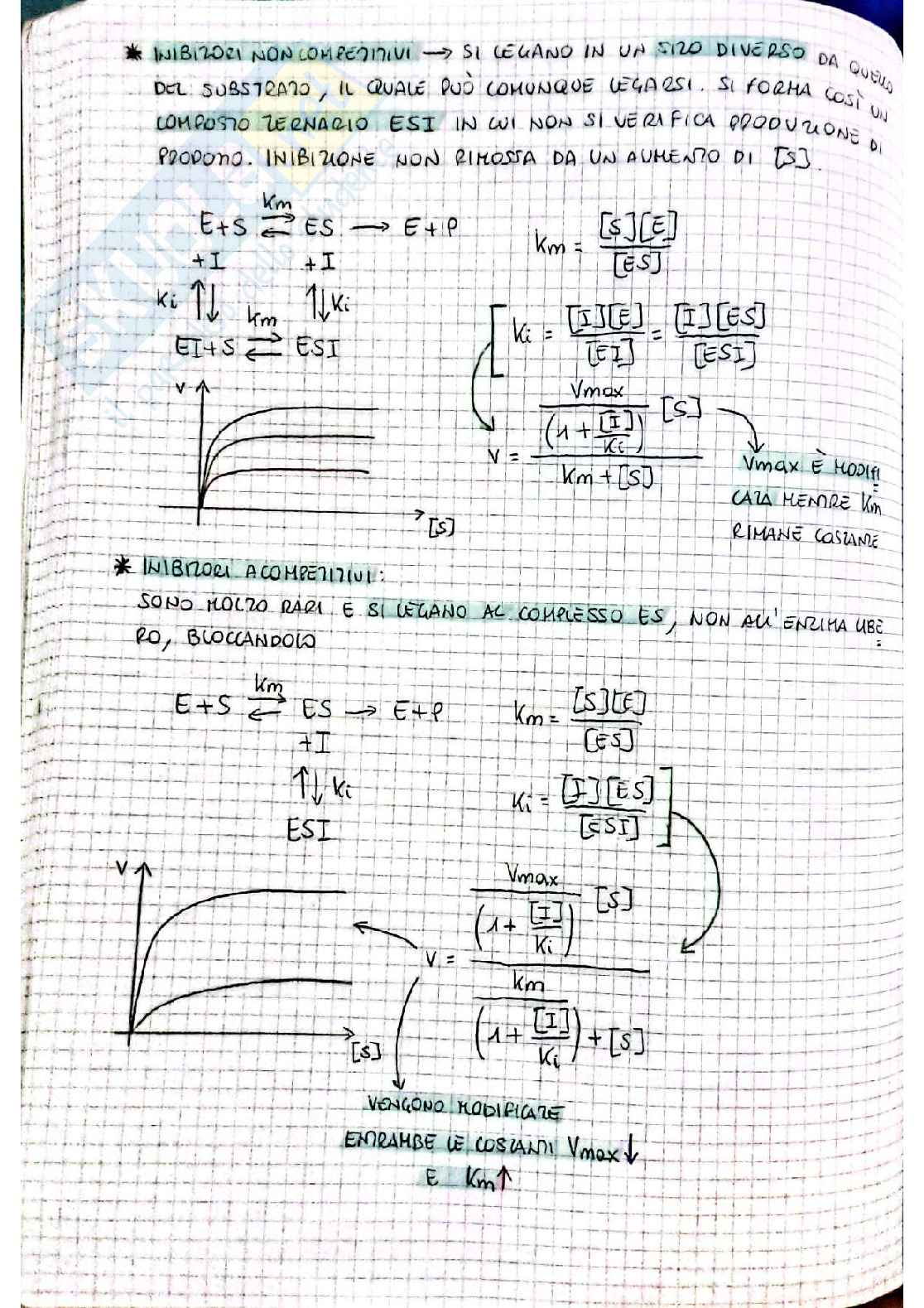 Biochimica I - prima parte Pag. 26