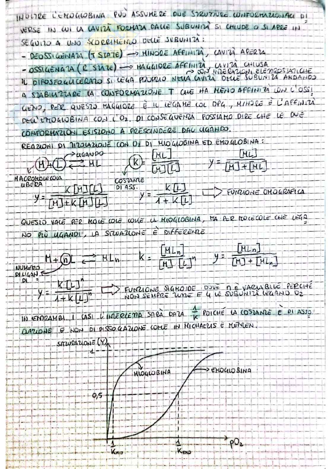 Biochimica I - prima parte Pag. 31