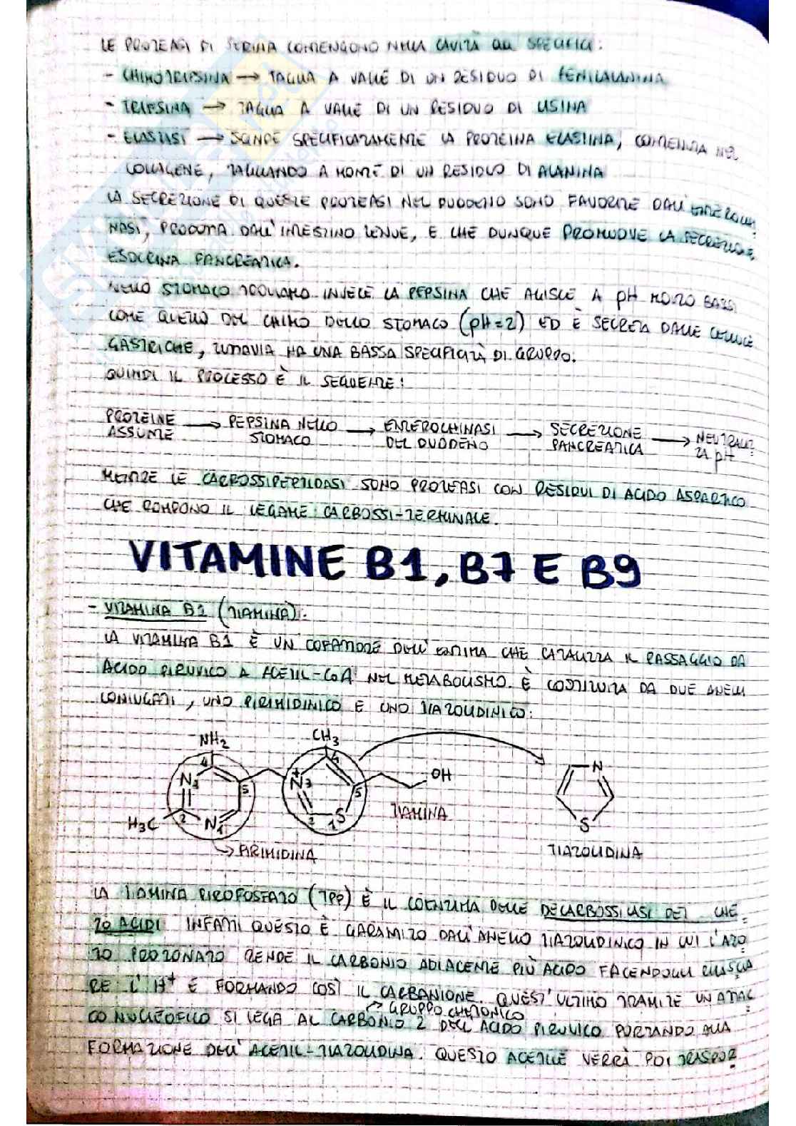 Biochimica I - prima parte Pag. 36