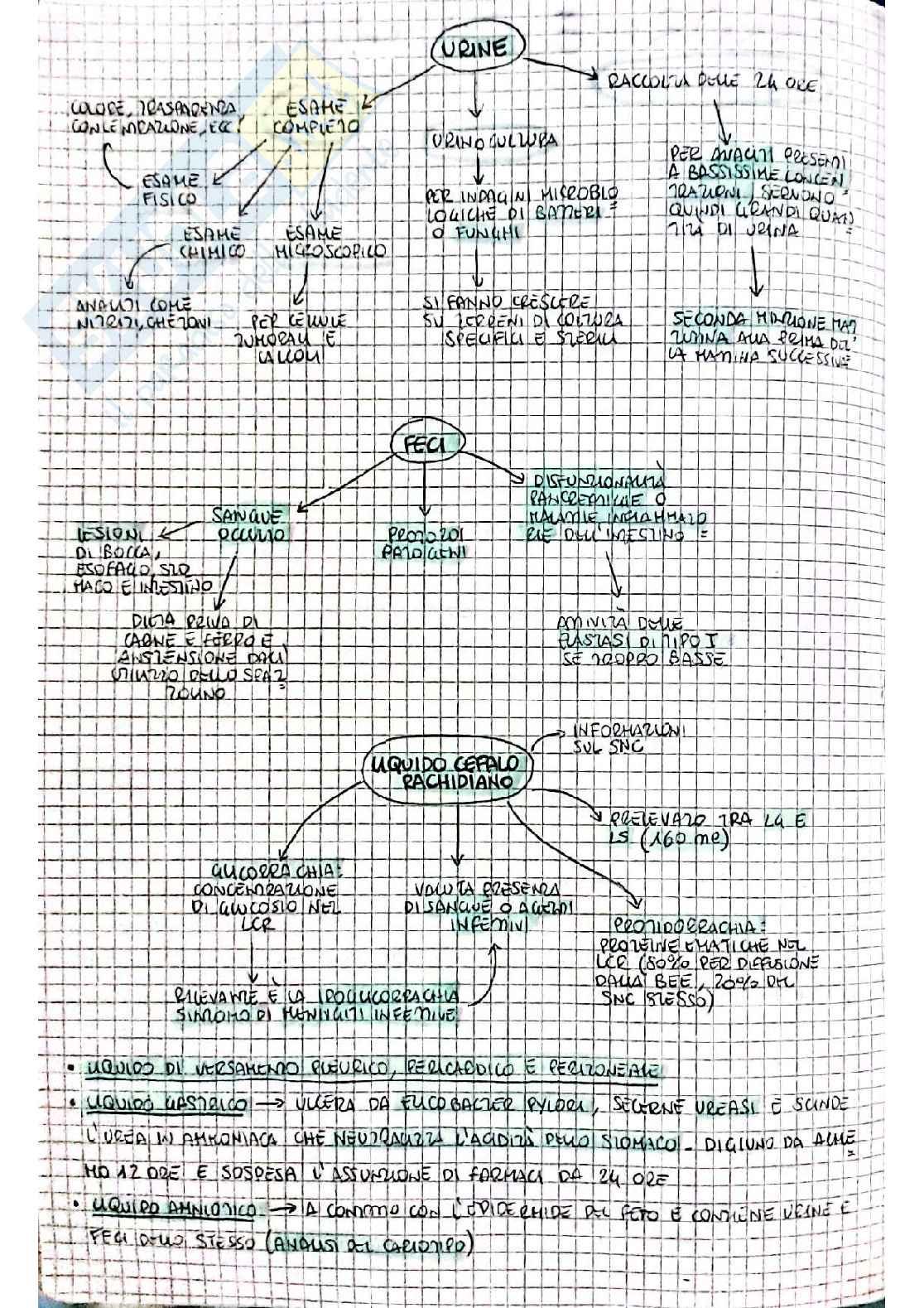 Biochimica I - prima parte Pag. 46