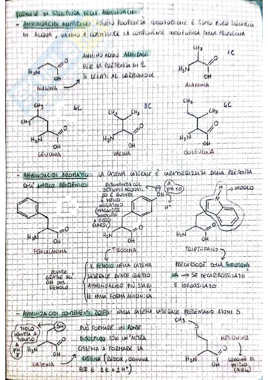 Biochimica I - prima parte Pag. 6
