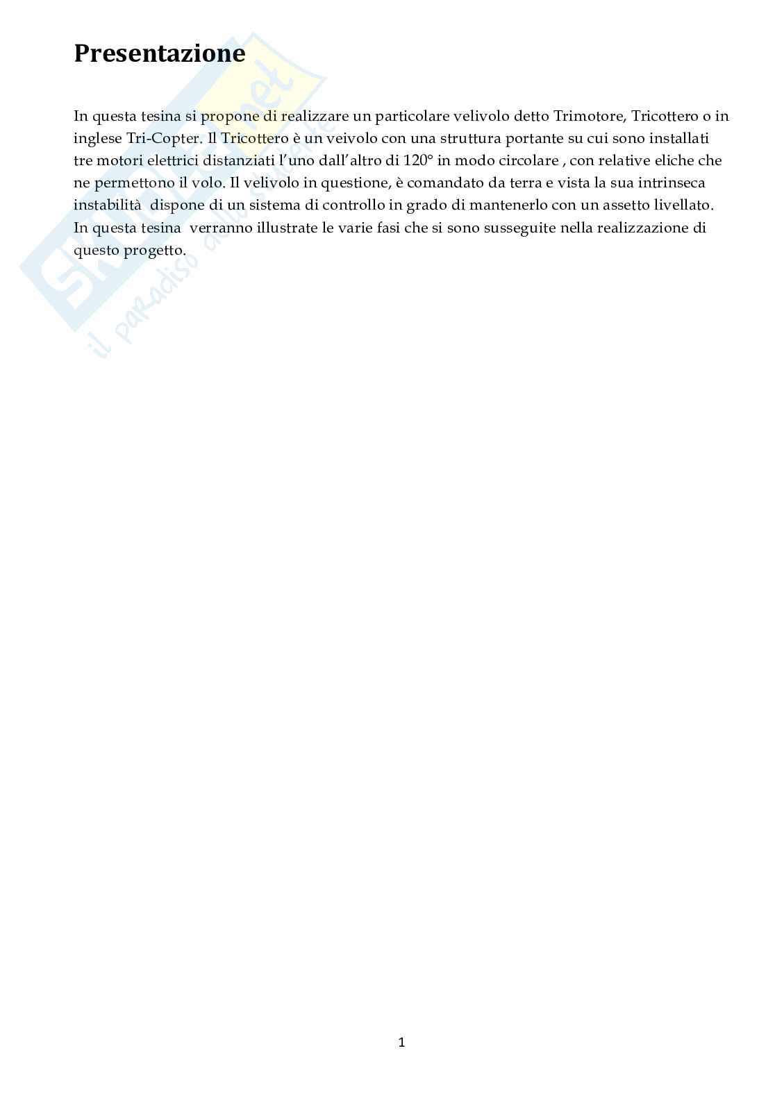Tricottero, tesina Pag. 2