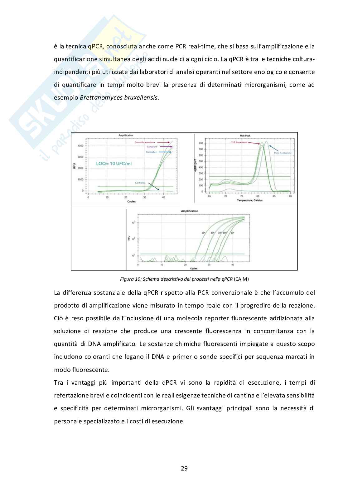 Strategie di monitoraggio e controllo di Brettanomyces bruxellensis in uve, mosti e vini Pag. 31