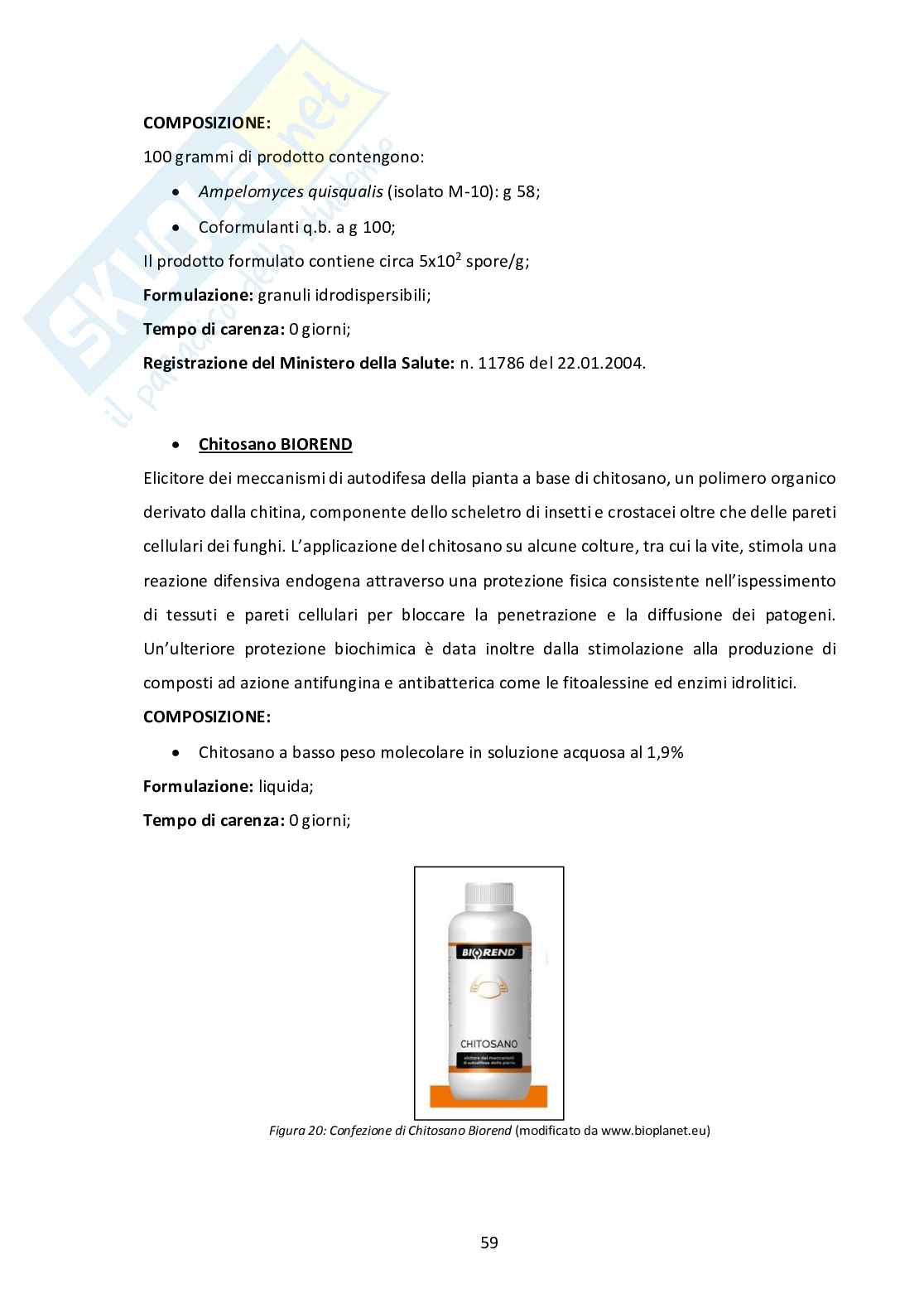 Strategie di monitoraggio e controllo di Brettanomyces bruxellensis in uve, mosti e vini Pag. 61