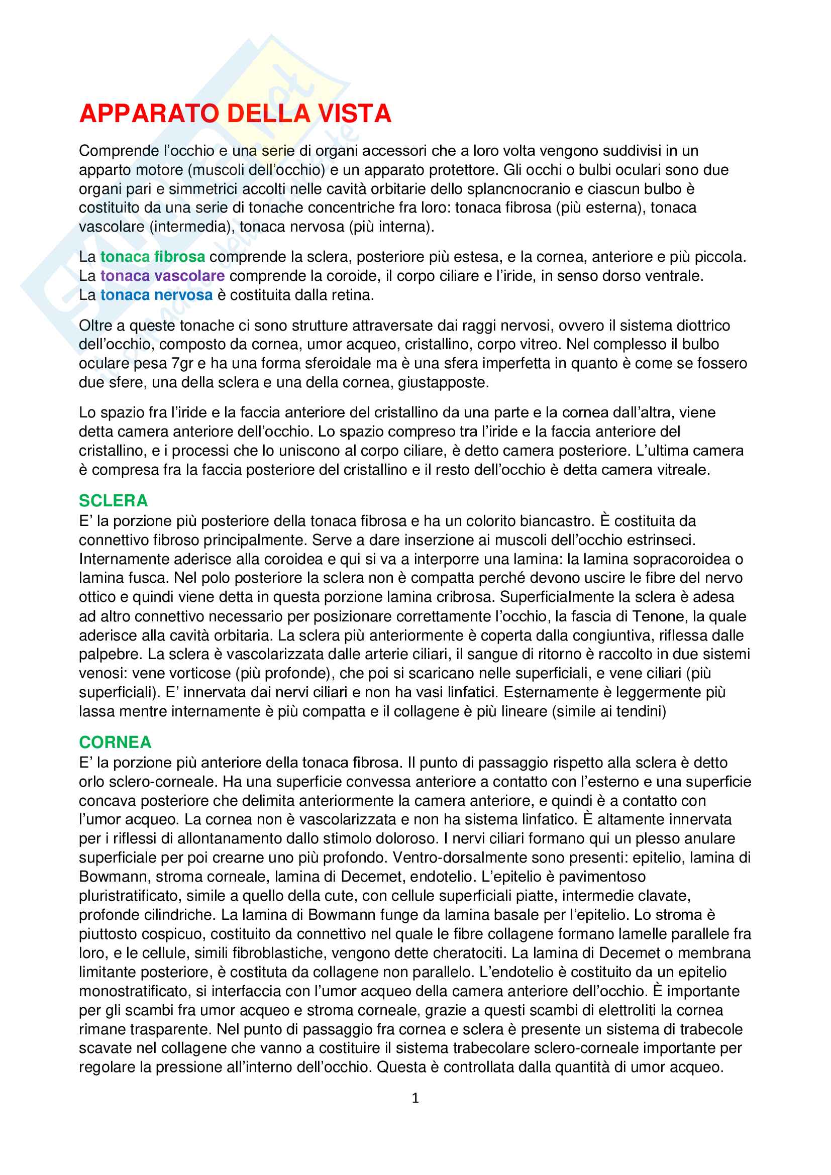 Apparato della vista Pag. 1