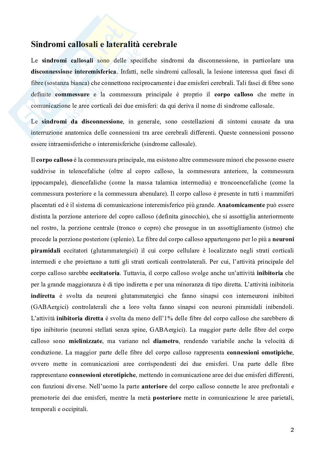 Riassunto esame Neuropsicologia, Prof. Doricchi Fabrizio, libro consigliato Manuale di neuropsicologia, Pizzamiglio Pag. 2