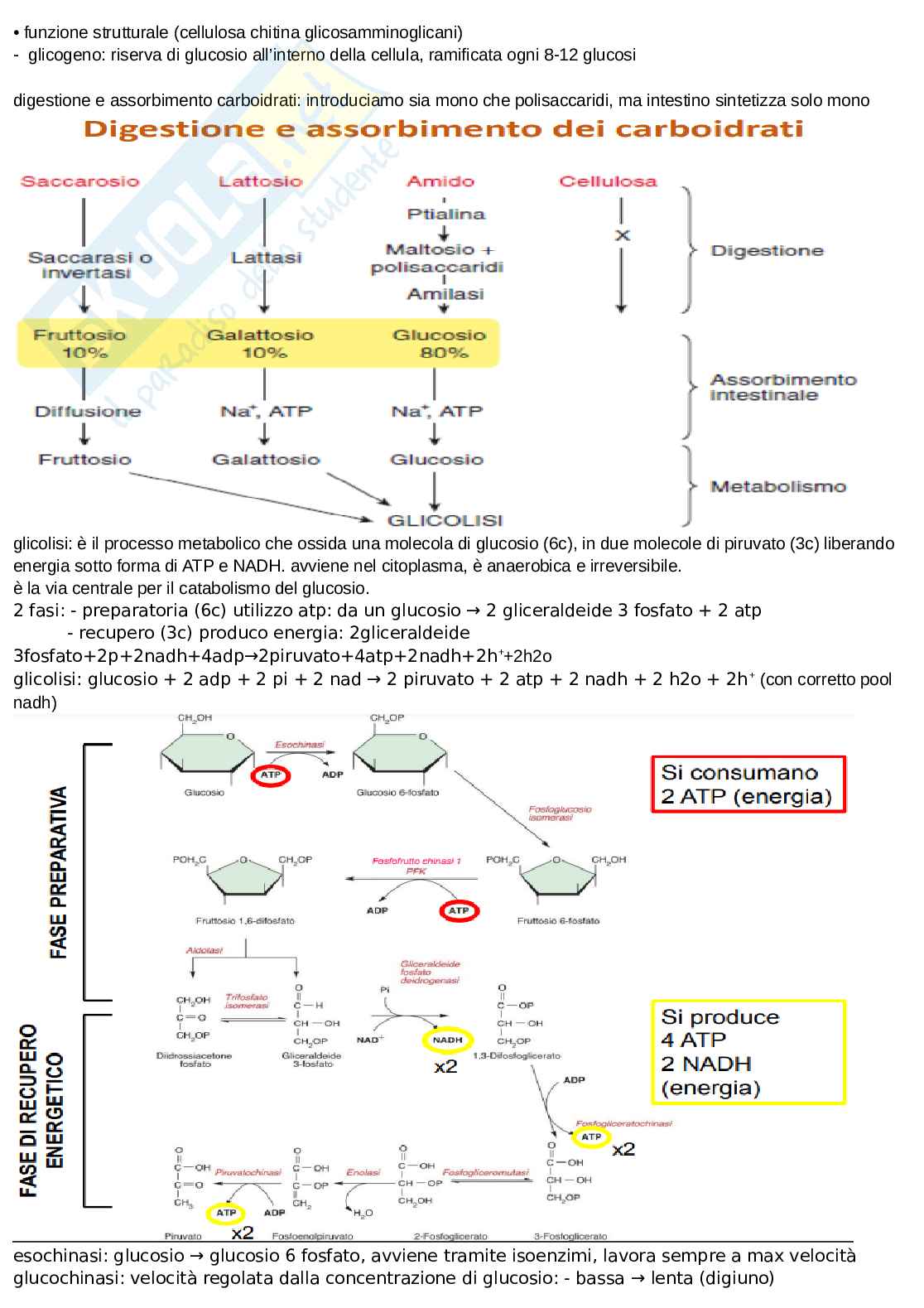 Appunti discorsivi e schematici di chimica  Pag. 16