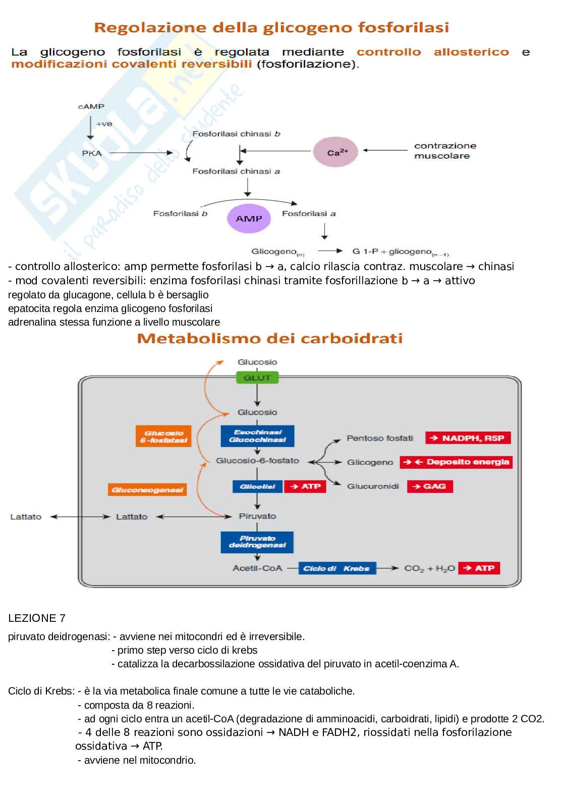 Appunti discorsivi e schematici di chimica  Pag. 21