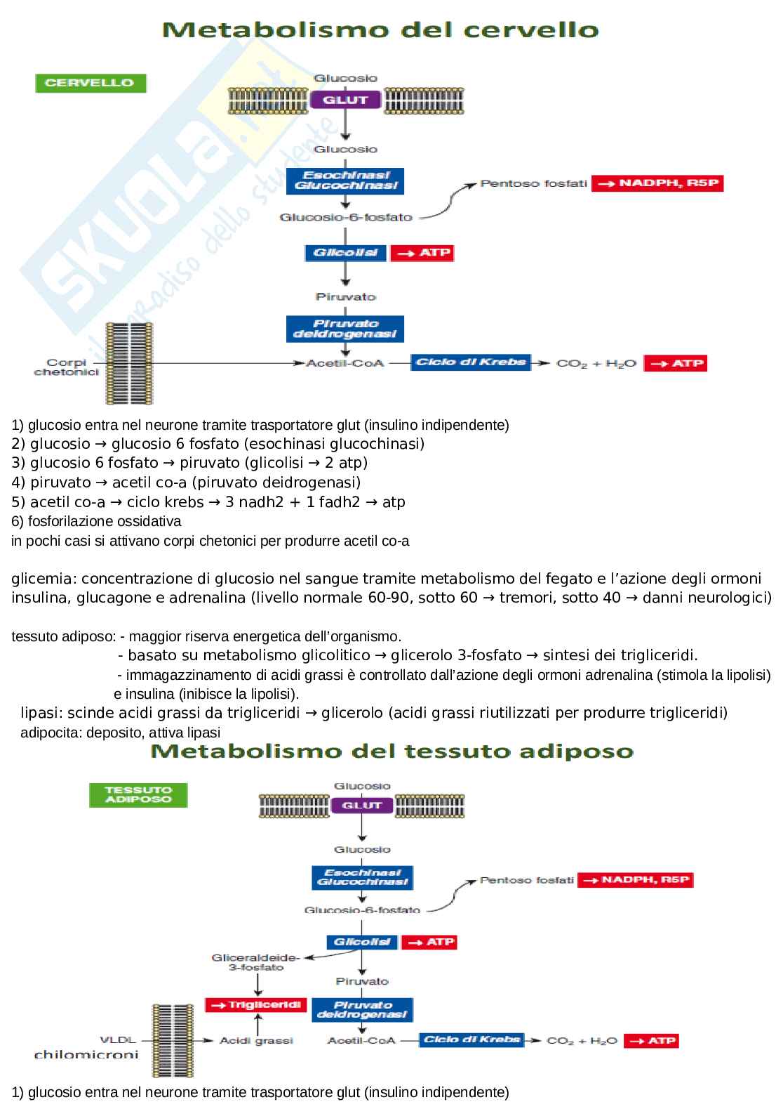 Appunti discorsivi e schematici di chimica  Pag. 26
