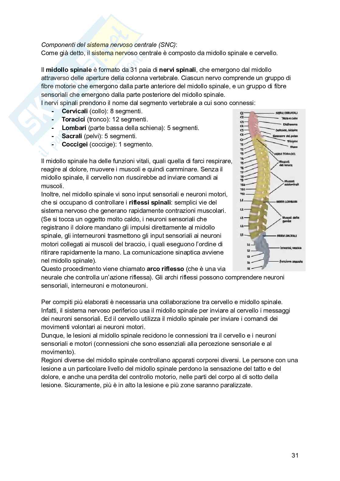 Riassunto esame Psicologia generale, Prof. Arduino Lisa, libro consigliato Psicologia generale; Psicologia della personalità e delle differenze individuali, Schacter, De Beni Pag. 31