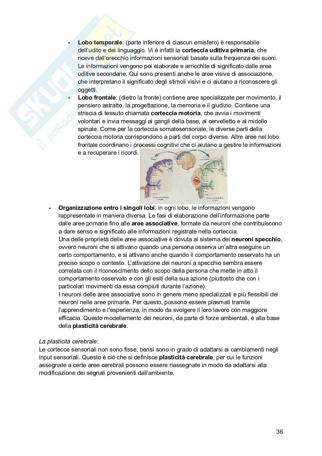 Riassunto esame Psicologia generale, Prof. Arduino Lisa, libro consigliato Psicologia generale; Psicologia della personalità e delle differenze individuali, Schacter, De Beni Pag. 36