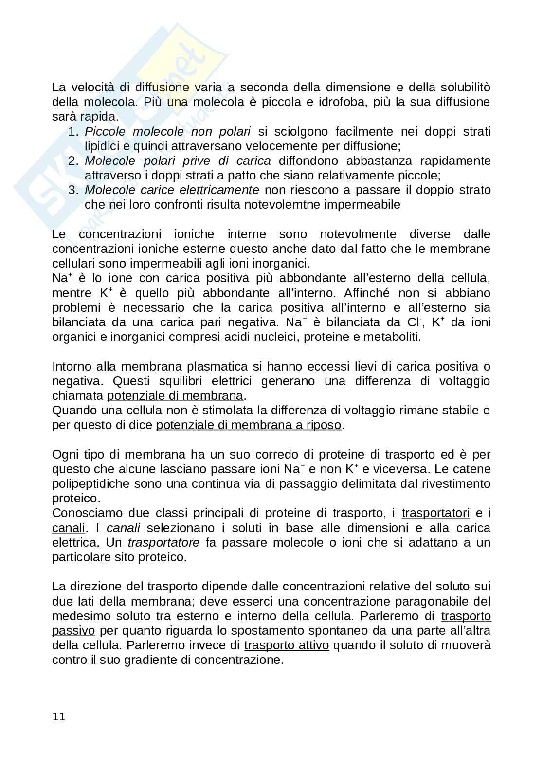 Biologia animale Pag. 11