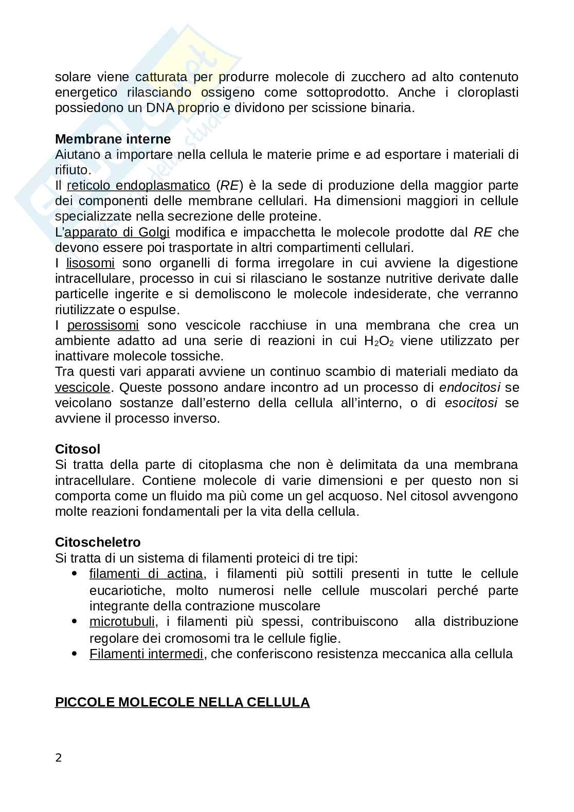 Biologia animale Pag. 2