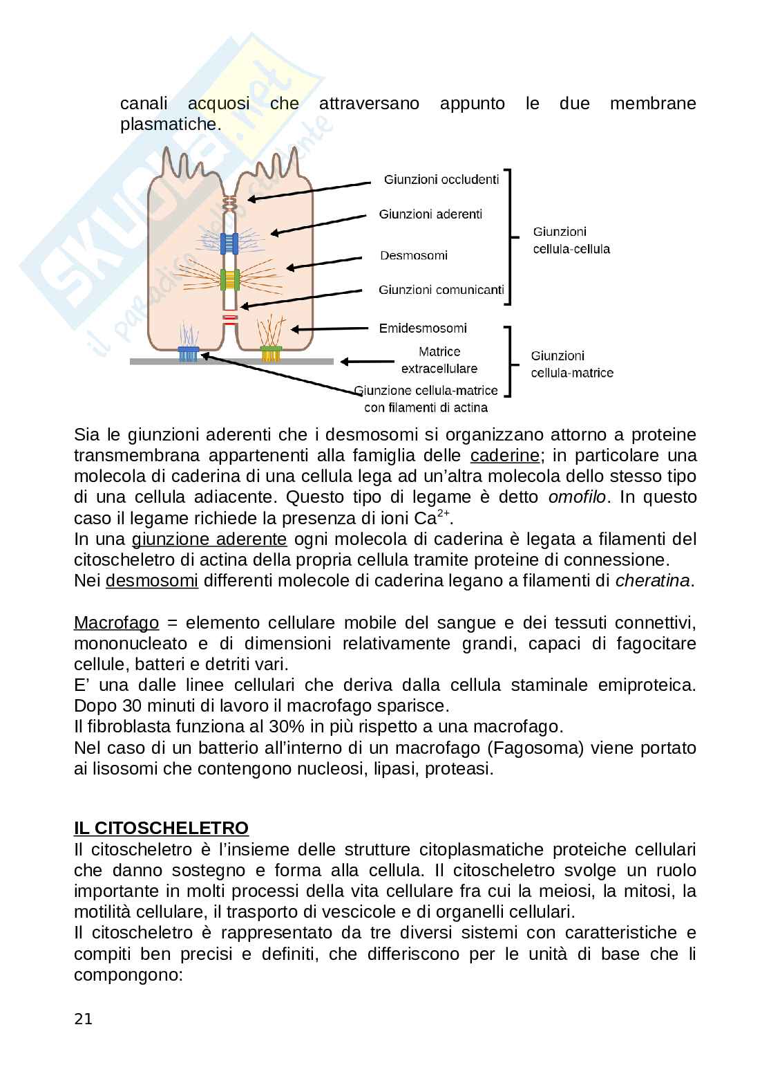 Biologia animale Pag. 21