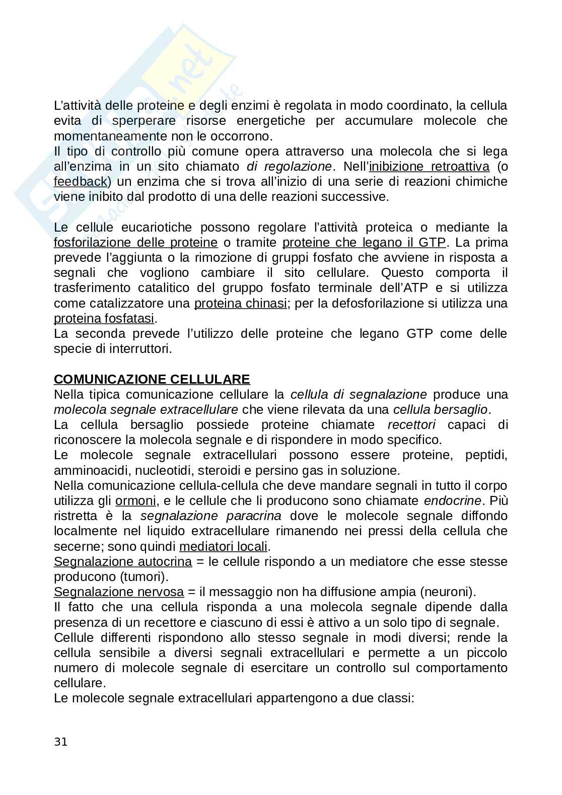 Biologia animale Pag. 31