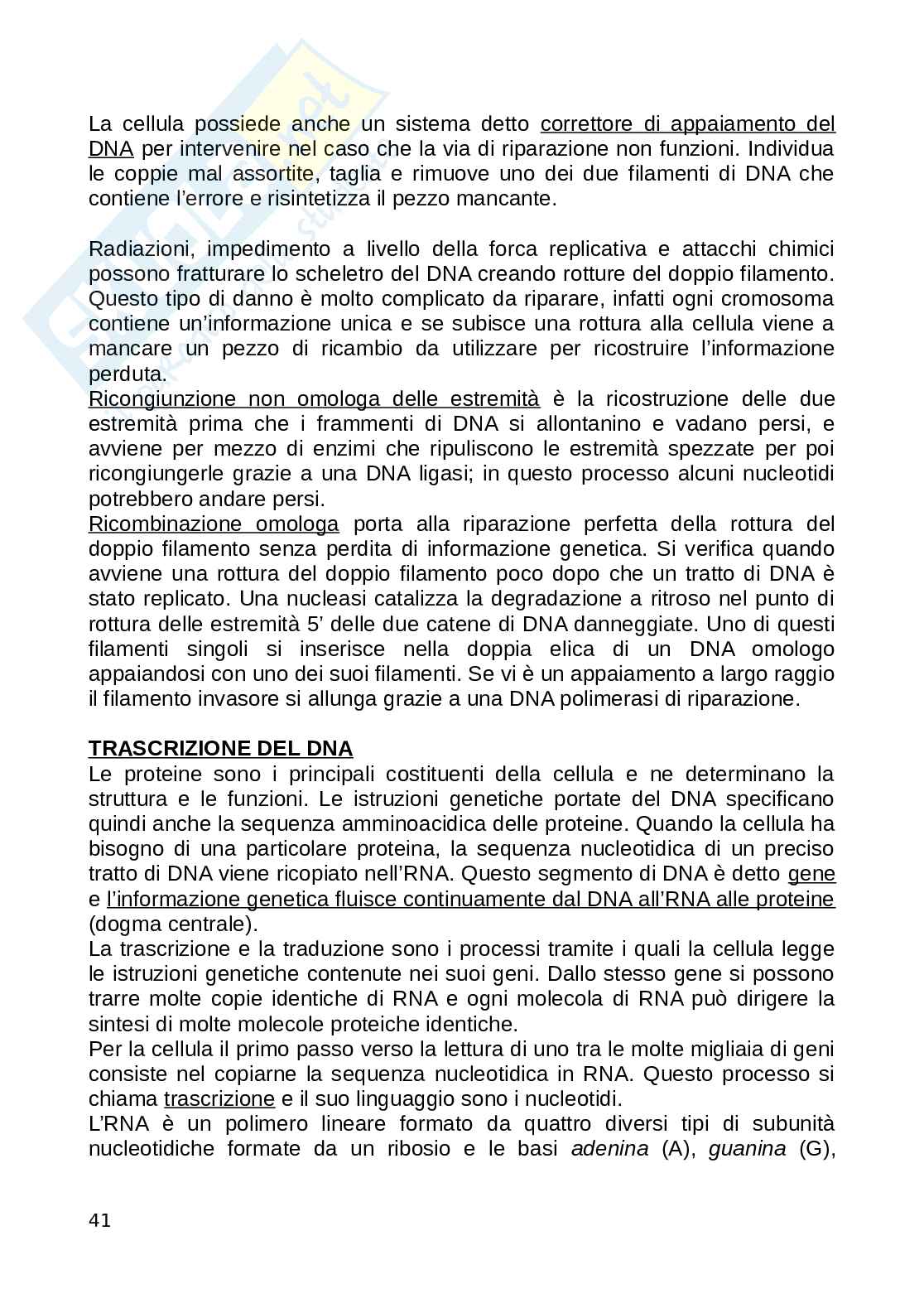 Biologia animale Pag. 41