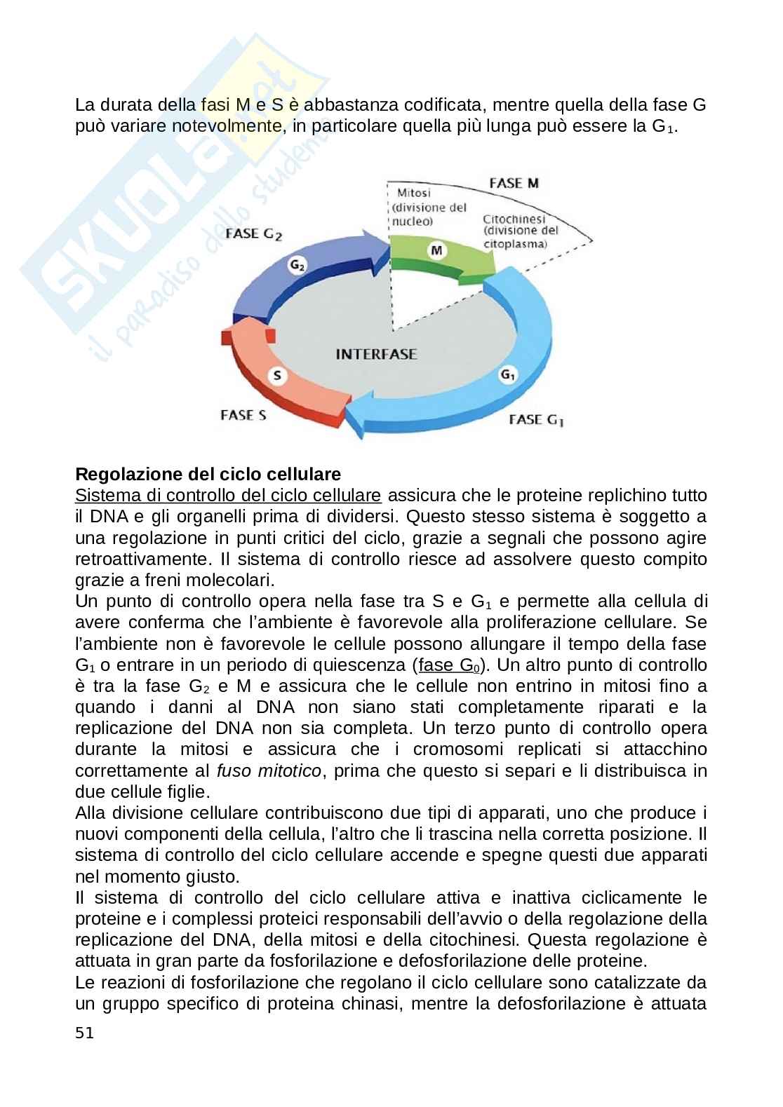 Biologia animale Pag. 51