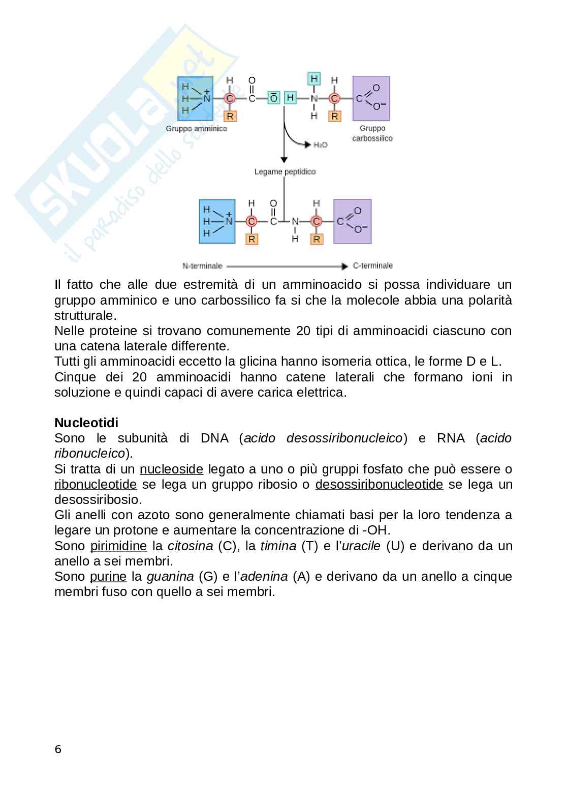 Biologia animale Pag. 6
